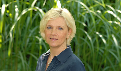 Ein Bild von Susanne Krauch